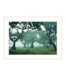 "Enchanted Forest II" by Martin Podt, Ready to Hang Framed Print, White Frame