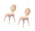 Modrest Haswell Glam Pink Velvet Accent Chair (Set of 2)