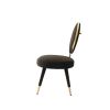 Modrest Haswell Glam Black Velvet Accent Chair (Set of 2)